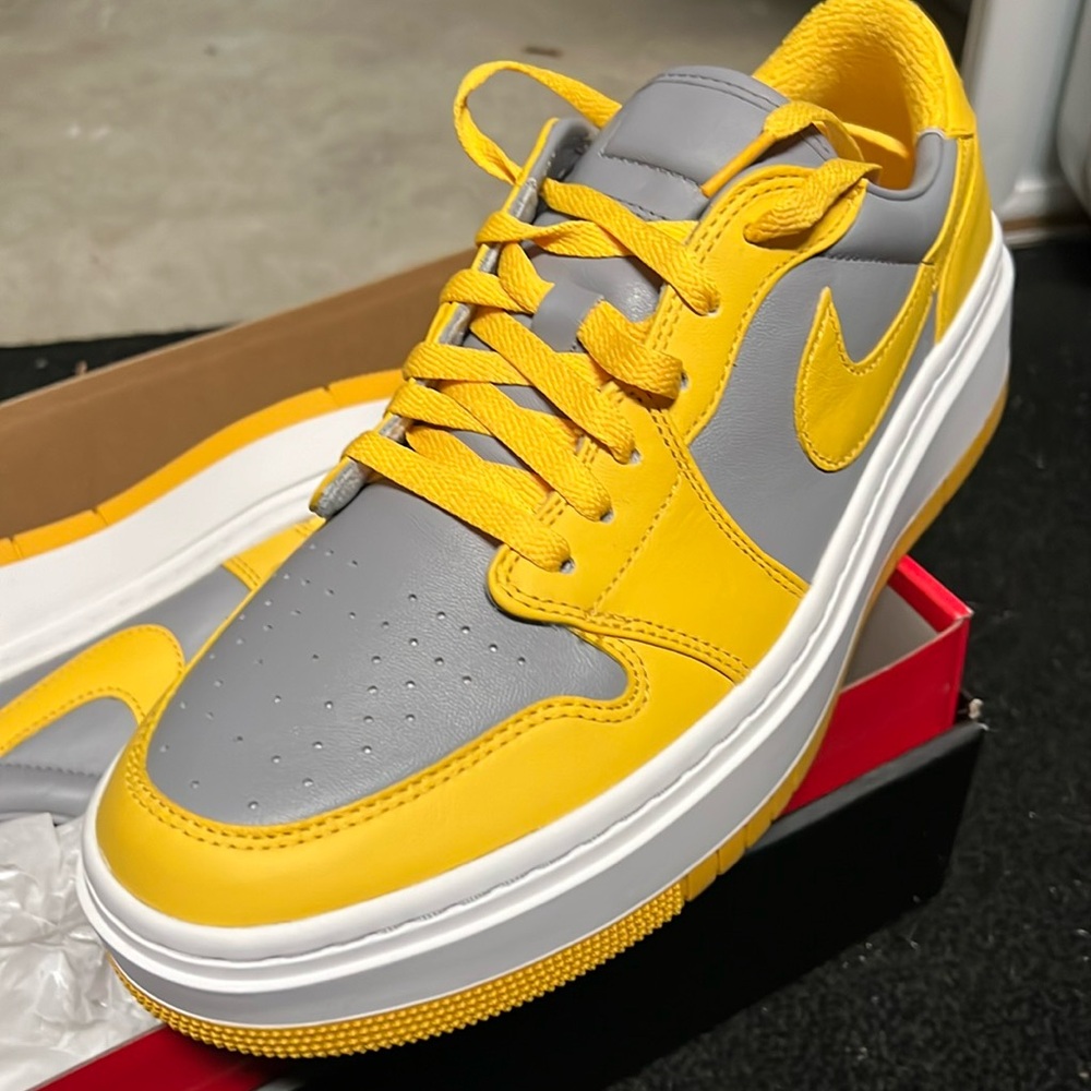Nike air Jordan elevate